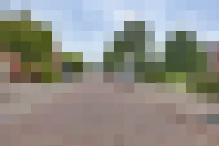 Lange Akker 19 Kampen thumbnail 8