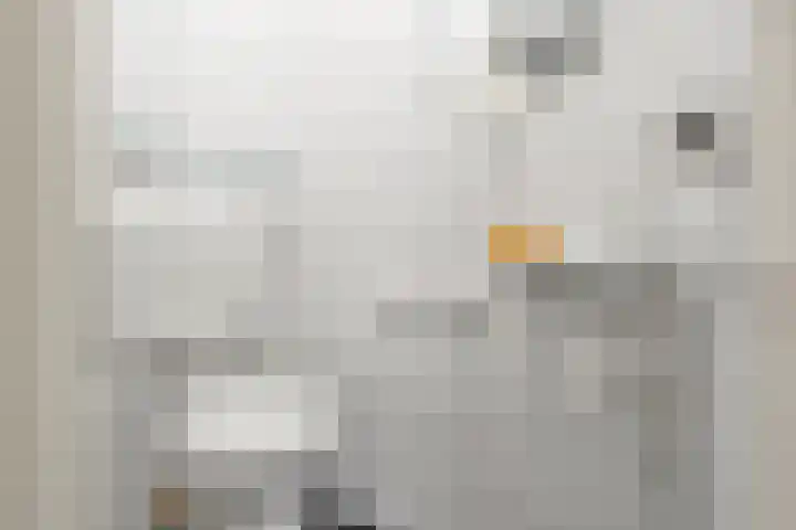 Lange Akkers 5 Ede thumbnail 25