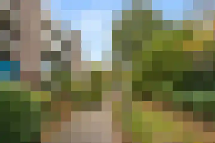 Lange Akkers 5 Ede thumbnail 31