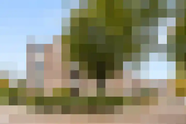 Lange Akkers 5 Ede thumbnail 32