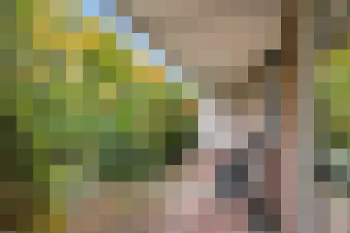 Lange Akkers 5 Ede thumbnail 5
