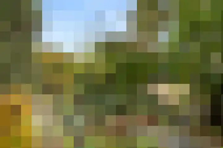 Lange Akkers 5 Ede thumbnail 6