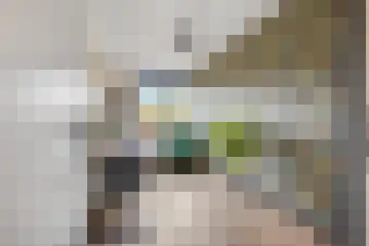 Lange Akkers 53 Ede thumbnail 18