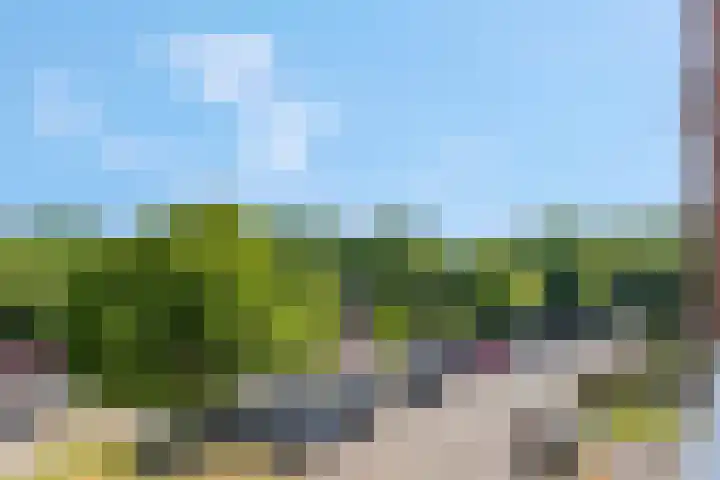 Lange Akkers 59 Ede thumbnail 31