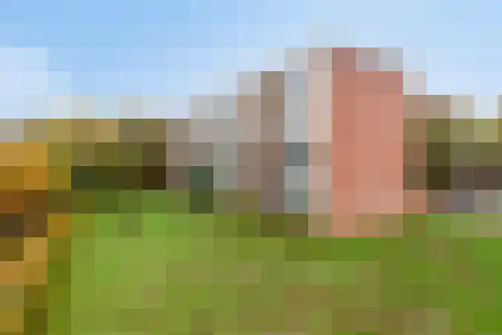 Lange Bedde 83 A Breda thumbnail 30