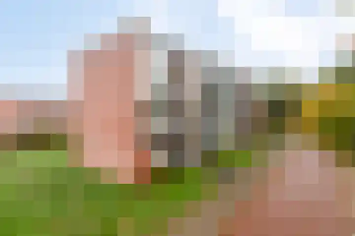 Lange Bedde 83 A Breda thumbnail 33