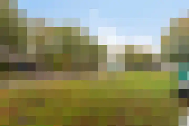 Lange Bedde 83 A Breda thumbnail 36