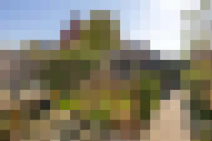 Lange Campen 34 Pijnacker thumbnail 12