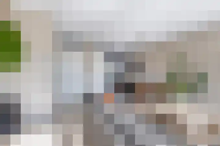 Lange Campen 34 Pijnacker thumbnail 5