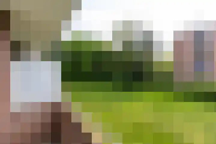 Lange Heul 476 Bussum thumbnail 13