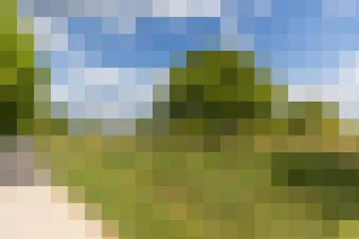 Lange Heul 476 Bussum thumbnail 17