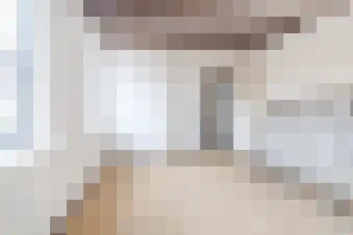 Lange Meent 2 Culemborg thumbnail 15