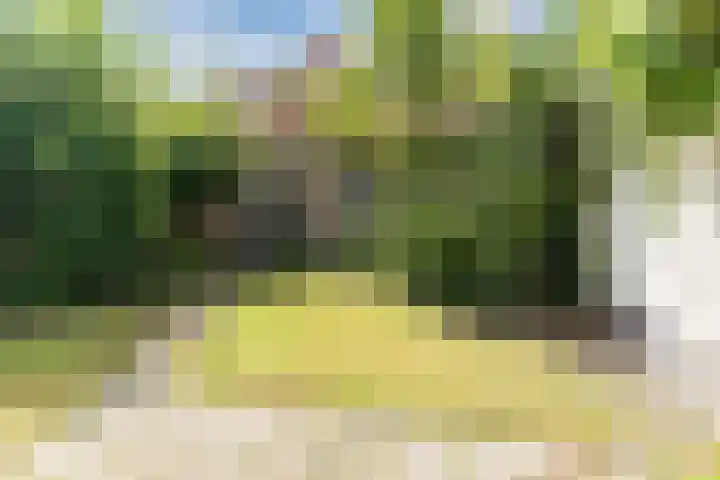 Lange Meent 2 Culemborg thumbnail 24
