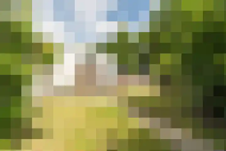Lange Meent 2 Culemborg thumbnail 26