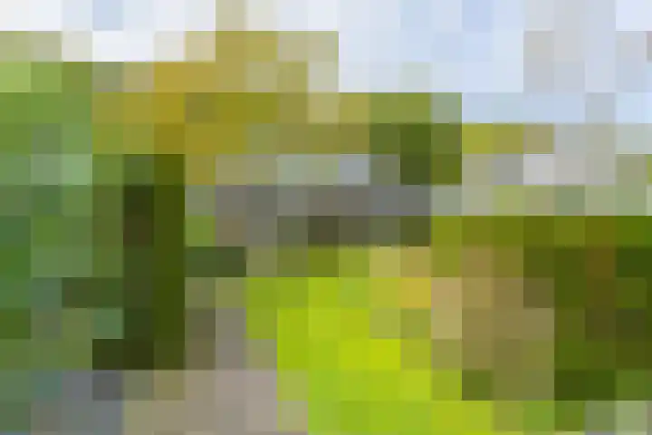 Lange Singel 27 Bakkeveen thumbnail 10
