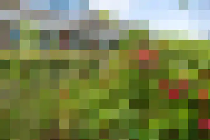 Lange Singel 27 Bakkeveen thumbnail 17
