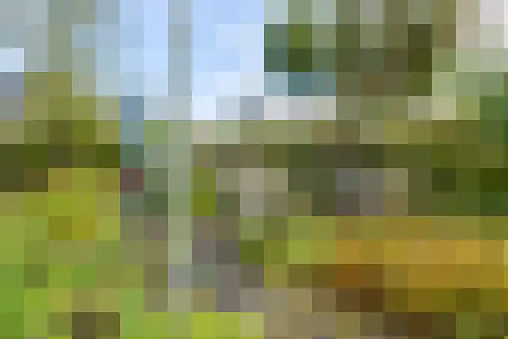 Lange Singel 27 Bakkeveen thumbnail 18