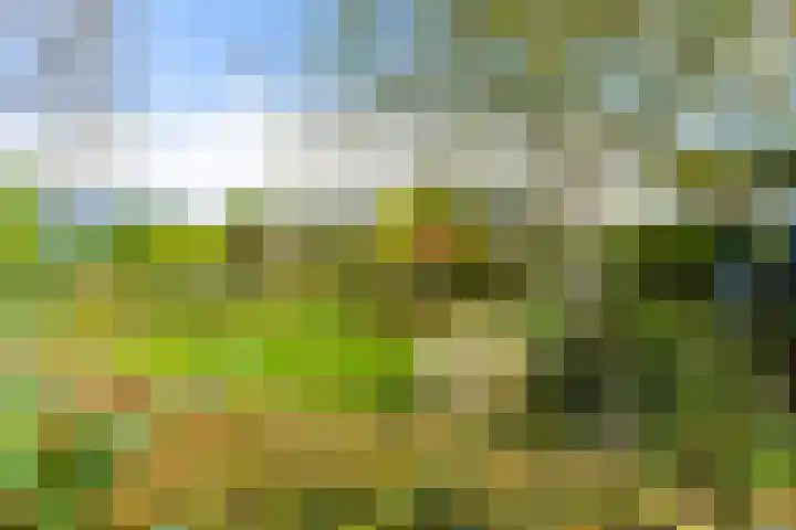 Lange Singel 27 Bakkeveen thumbnail 19