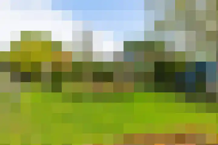 Lange Singel 27 Bakkeveen thumbnail 20
