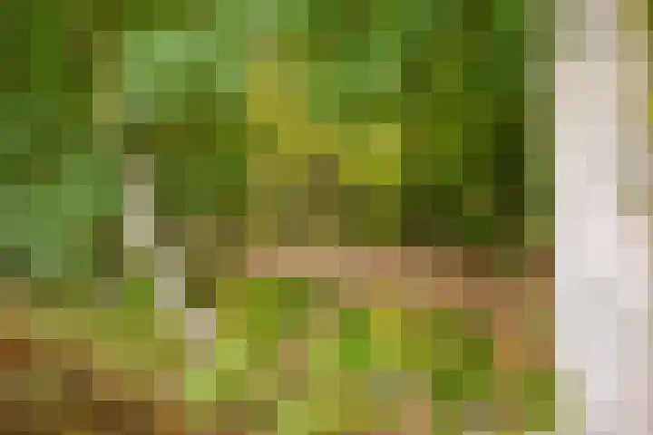 Lange Singel 27 Bakkeveen thumbnail 24