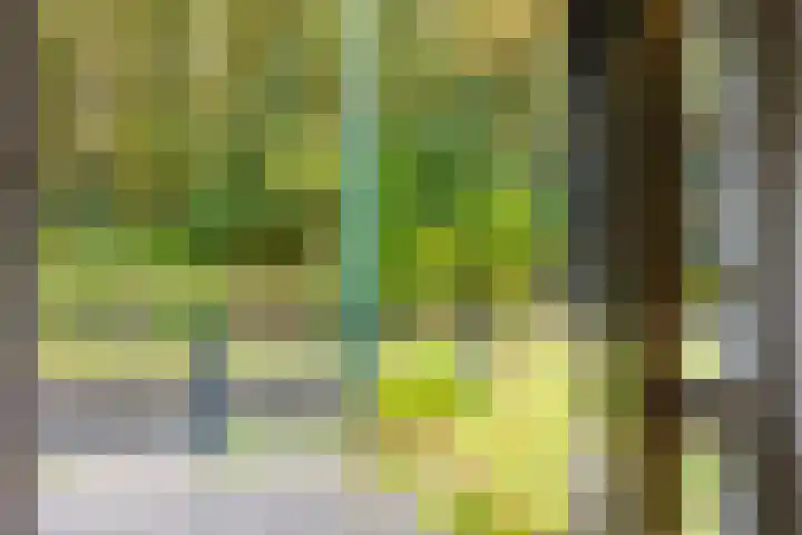 Lange Singel 27 Bakkeveen thumbnail 27