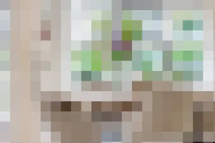 Lange Singel 27 Bakkeveen thumbnail 29