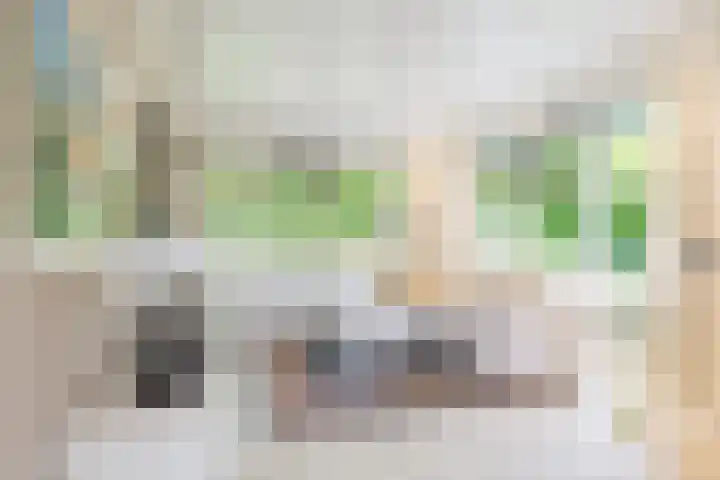Lange Singel 27 Bakkeveen thumbnail 36