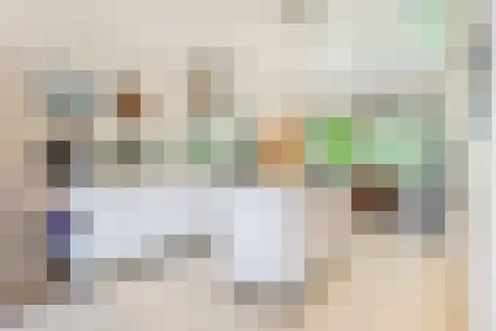Lange Singel 27 Bakkeveen thumbnail 40