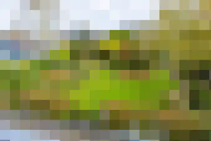 Lange Singel 27 Bakkeveen thumbnail 61