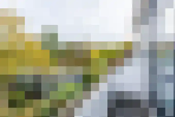 Lange Singel 27 Bakkeveen thumbnail 62