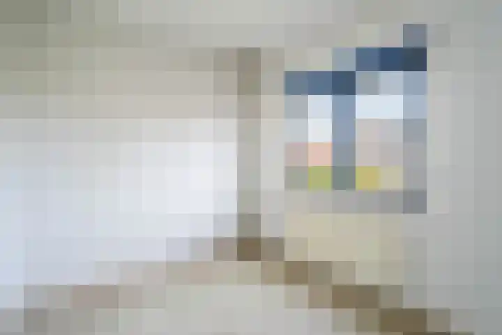 Lange Vore 49 Bavel thumbnail 16