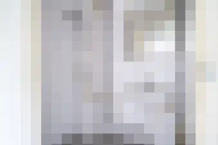 Lange Vore 49 Bavel thumbnail 18