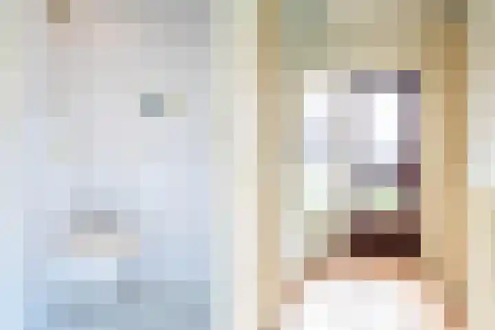 Lange Vore 49 Bavel thumbnail 6