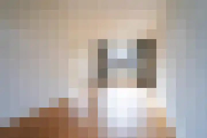 Lange Vore 49 Bavel thumbnail 7