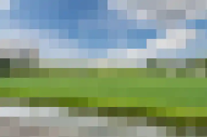 Lange Weide 17 Oudendijk thumbnail 41