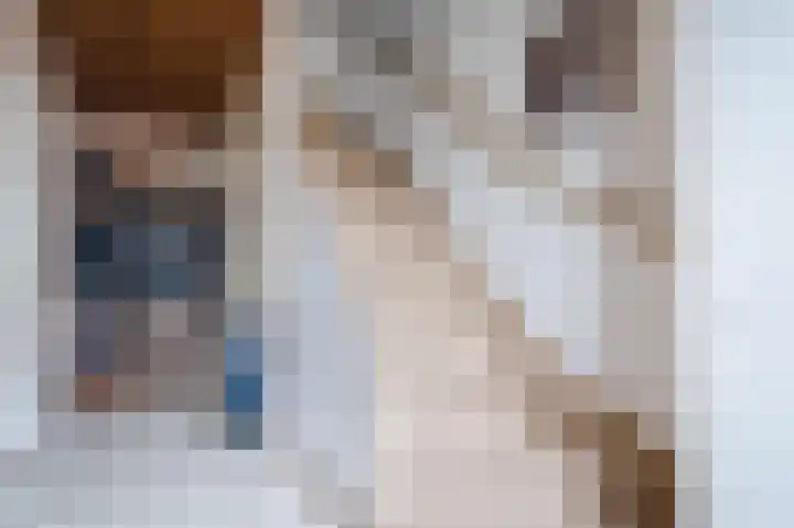 Lange Weide 17 Oudendijk thumbnail 5