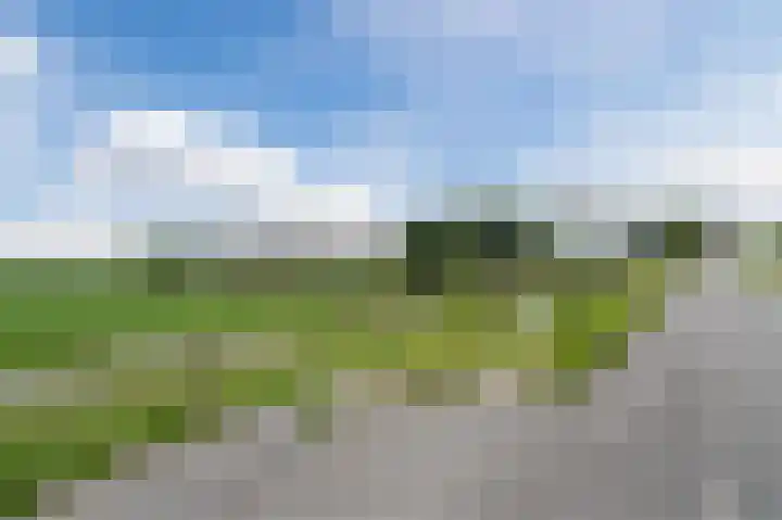 Lange Weide 17 Oudendijk thumbnail 50