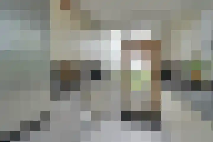Lange Weide 57 Oudendijk thumbnail 17