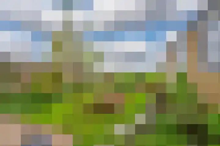 Lange Weide 57 Oudendijk thumbnail 20