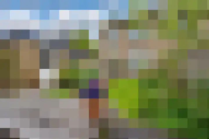 Lange Weide 57 Oudendijk thumbnail 24