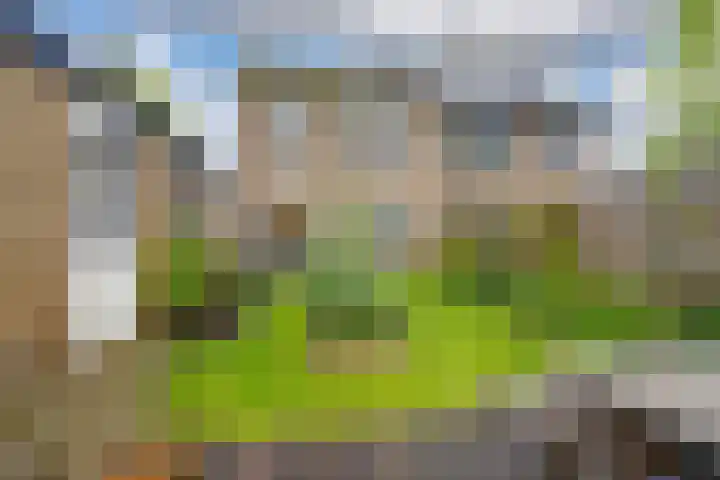 Lange Weide 57 Oudendijk thumbnail 25