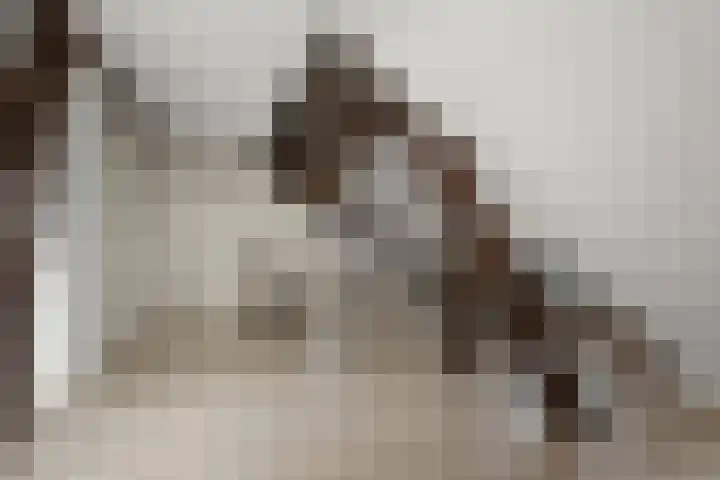 Langebuurt 29 e Uitgeest thumbnail 10