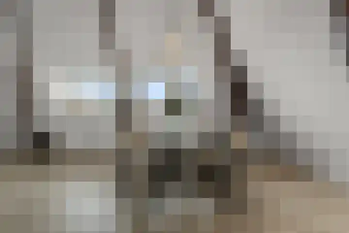 Langebuurt 29 e Uitgeest thumbnail 12