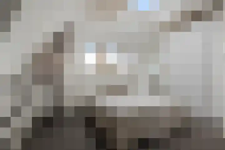 Langebuurt 29 e Uitgeest thumbnail 17
