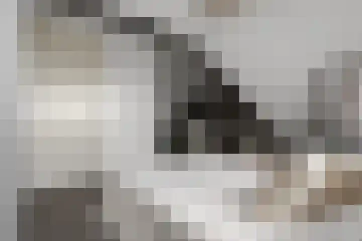 Langebuurt 29 e Uitgeest thumbnail 21