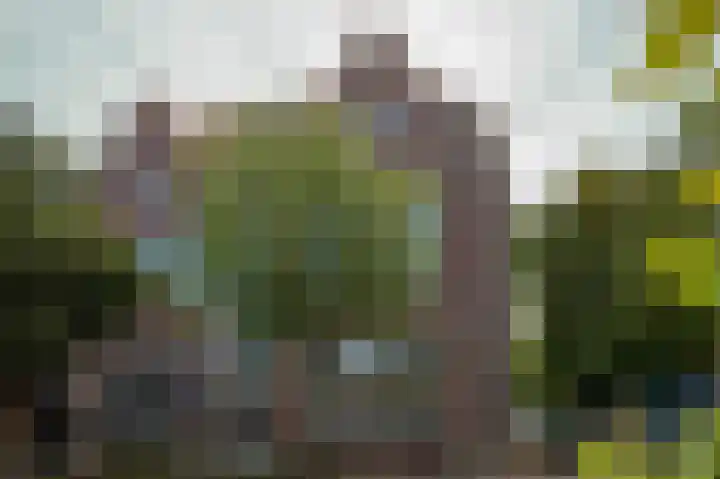 Langebuurt 29 e Uitgeest thumbnail 31