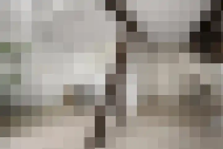 Langebuurt 29 e Uitgeest thumbnail 4
