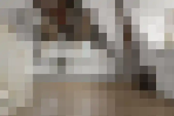 Langebuurt 29 e Uitgeest thumbnail 5