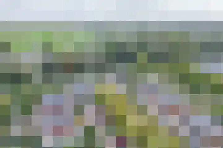 Langedijk 14 Assen thumbnail 25