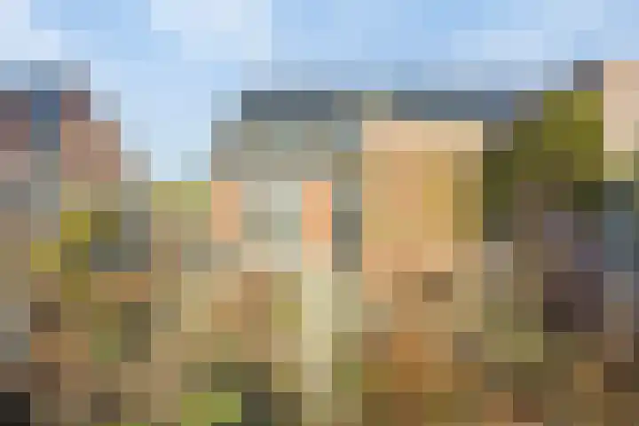 Langedijk 14 Assen thumbnail 31